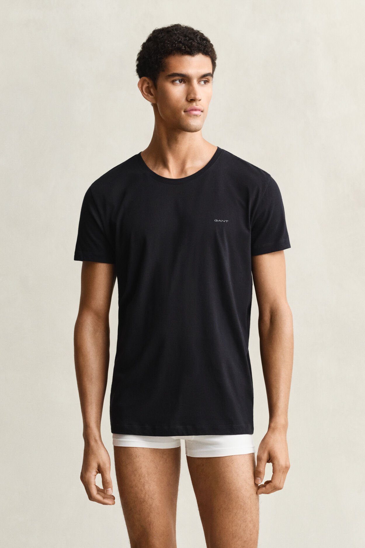 Lot de 2 t-shirts col rond