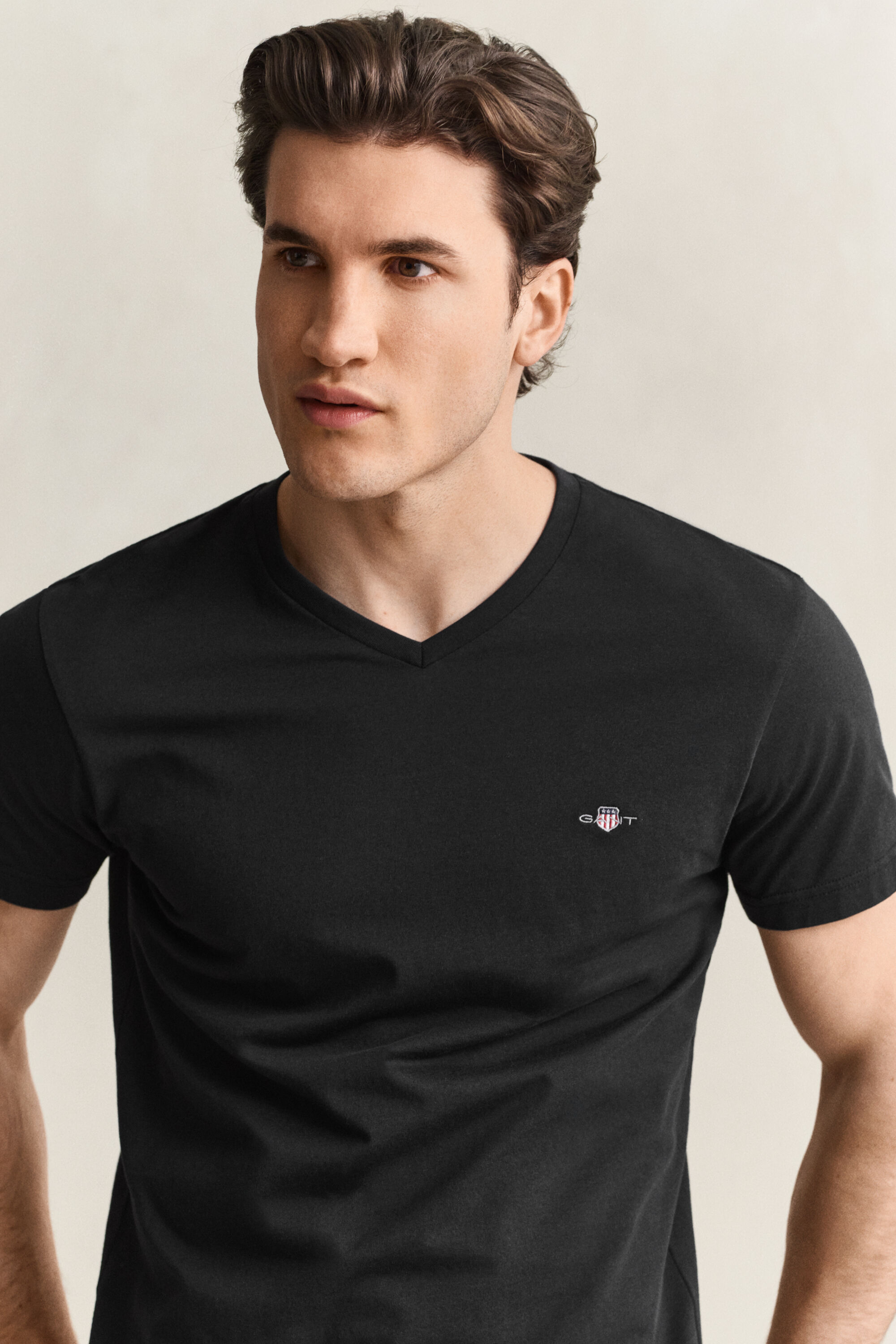 T-shirt col V coupe slim avec écusson