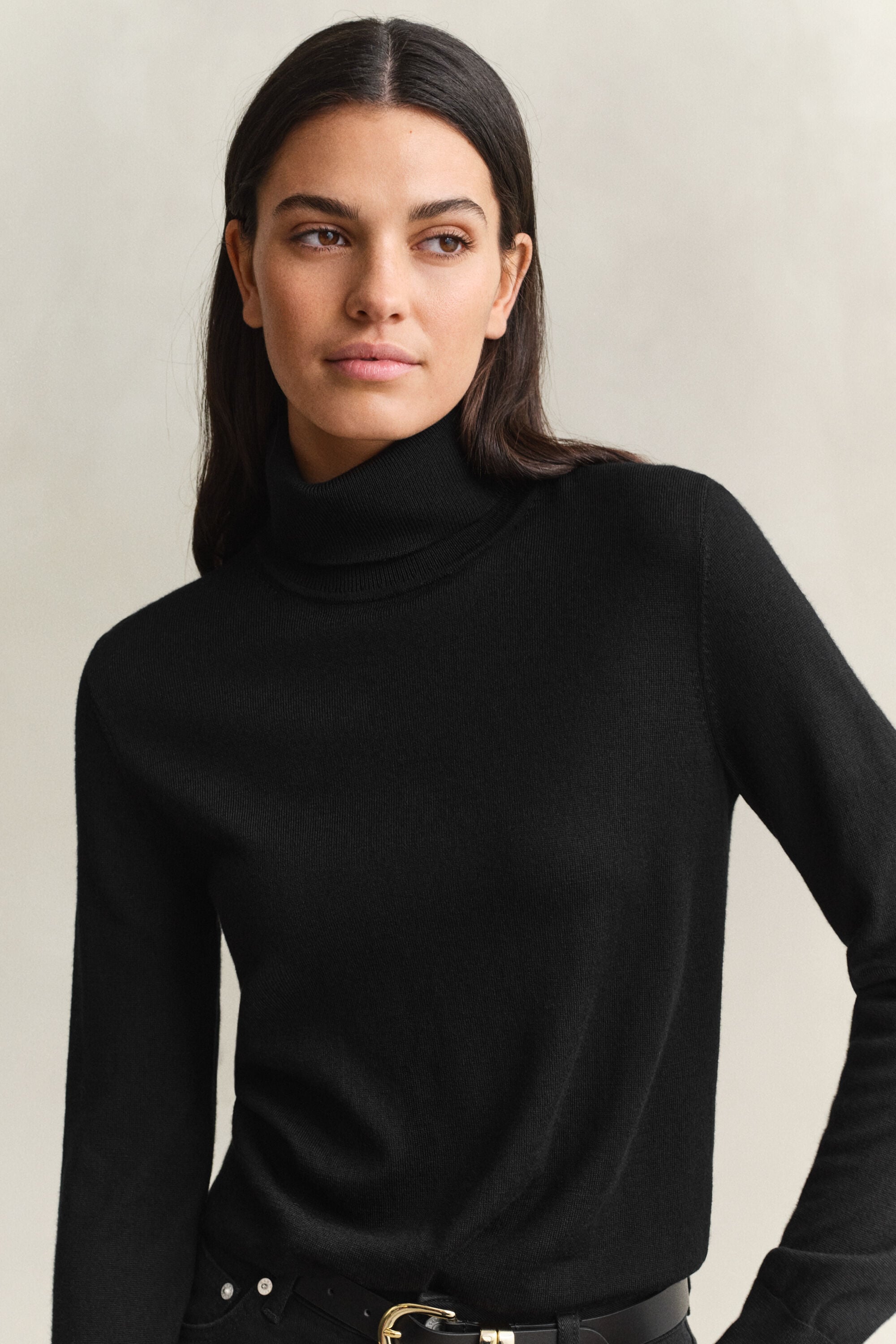 Pull col roulé en laine mérinos extrafine