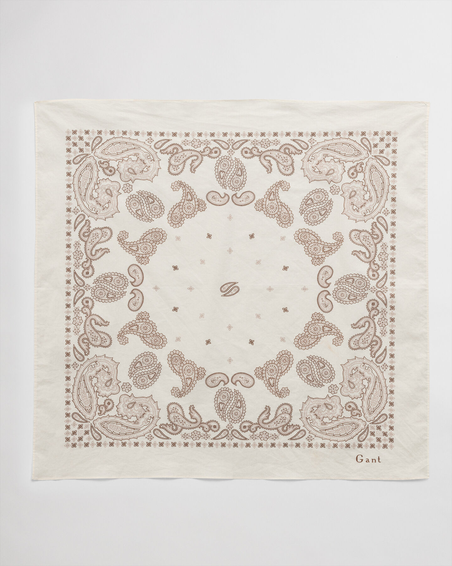 Paisley bandana