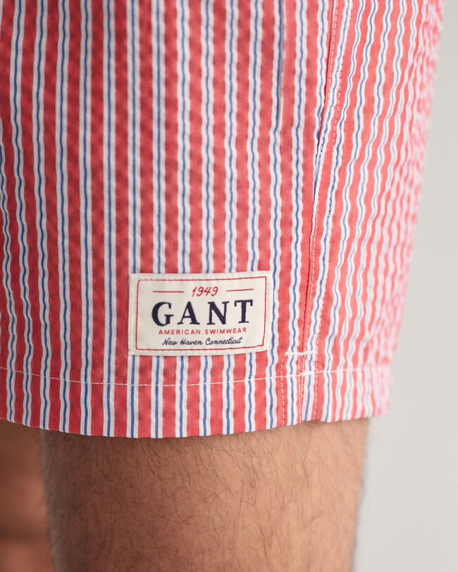 Seersucker Swim Shorts