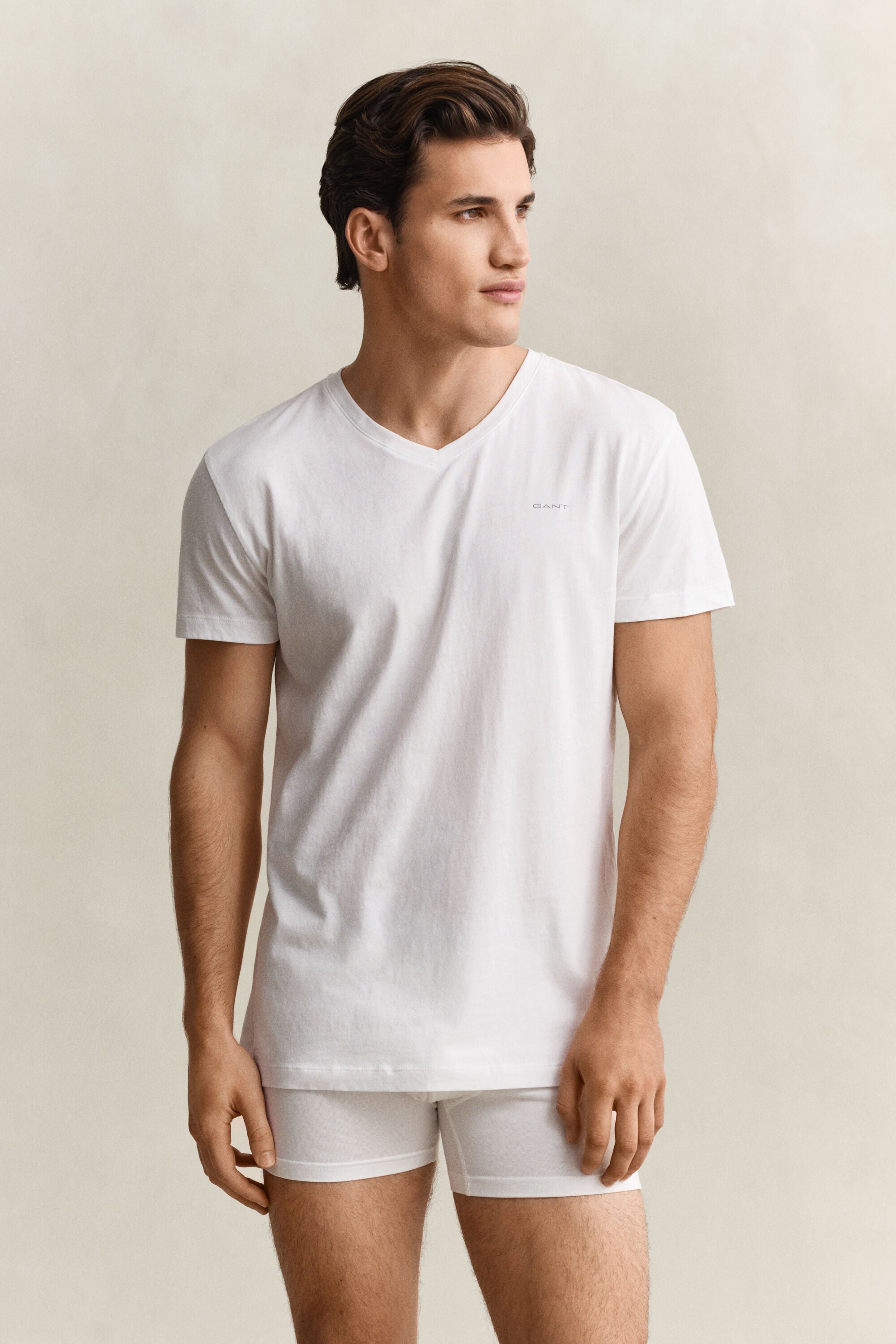 Lot de 2 t-shirts col V
