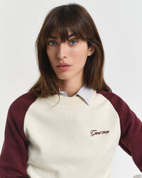 Trui met ronde hals en kleurblokken