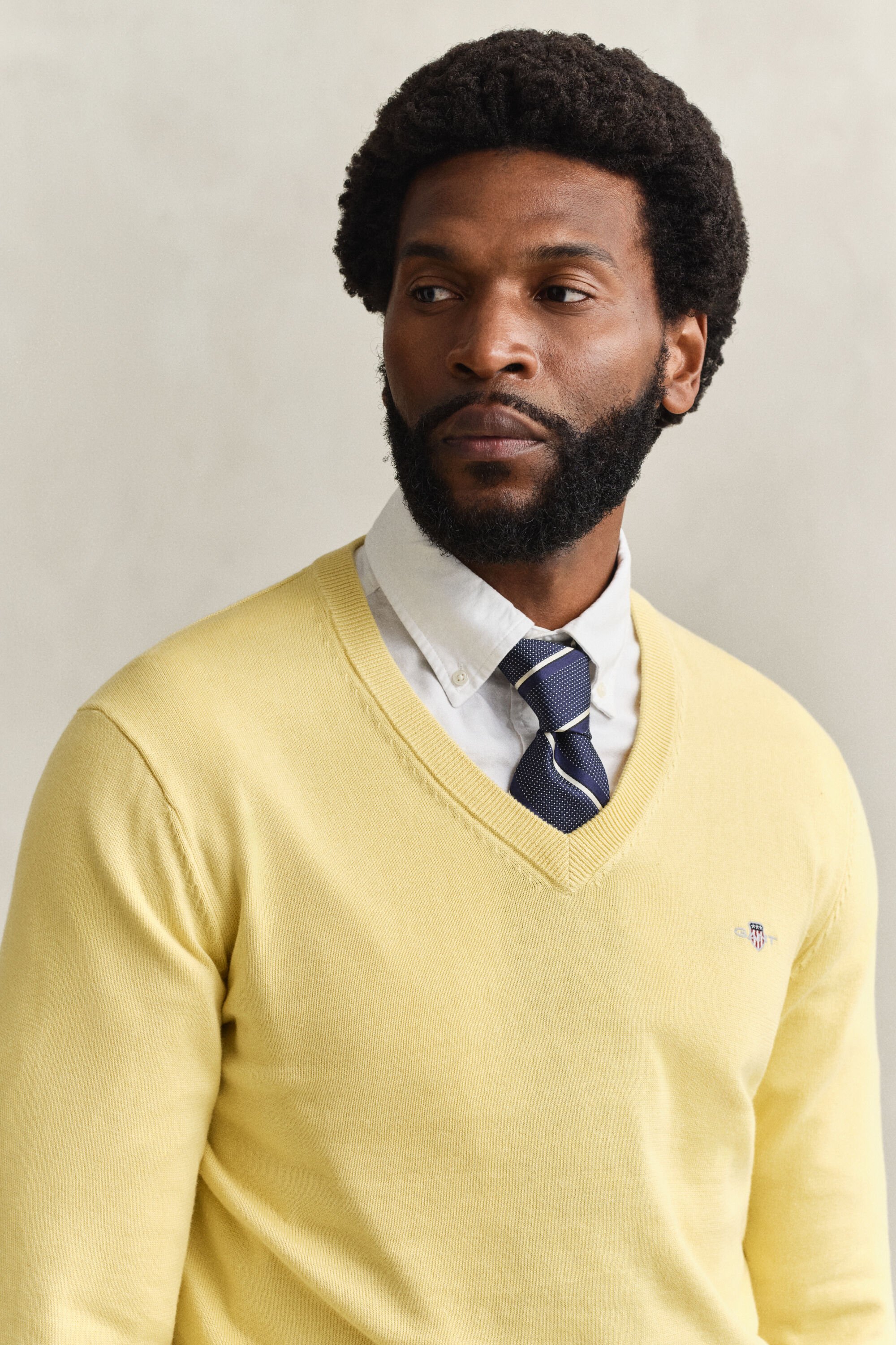 Pull col V en coton classique