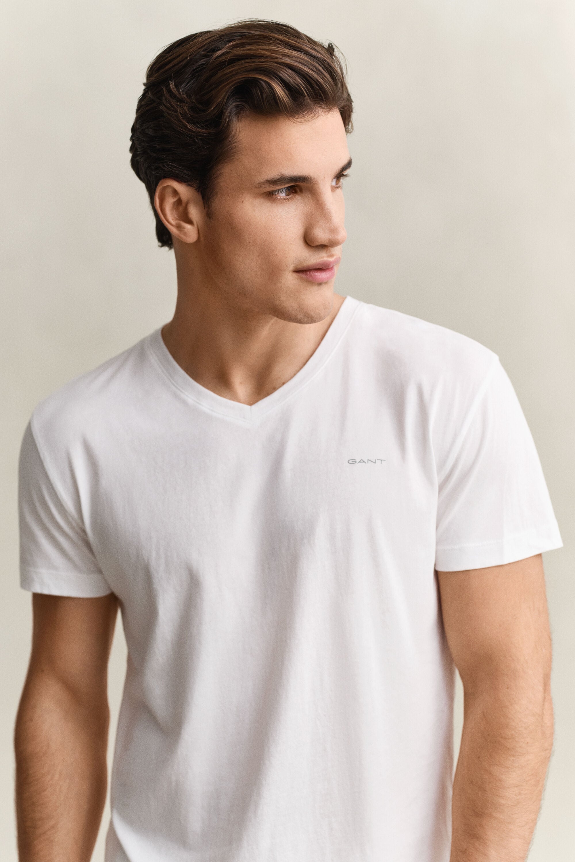 Lot de 2 t-shirts col V